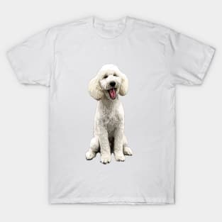 Poodle White Beauty T-Shirt